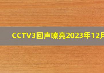 CCTV3回声嘹亮2023年12月20