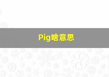 Pig啥意思