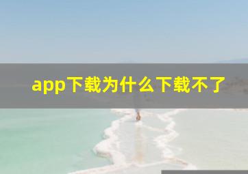 app下载为什么下载不了