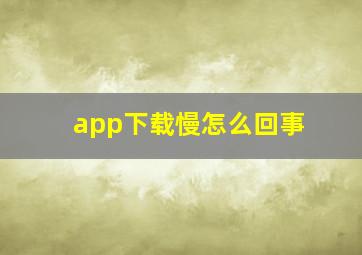 app下载慢怎么回事