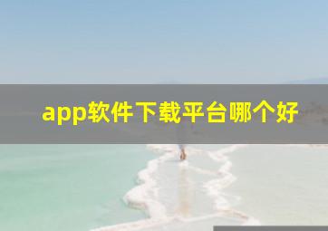 app软件下载平台哪个好