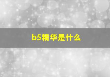 b5精华是什么