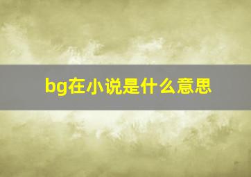 bg在小说是什么意思