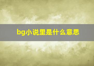 bg小说里是什么意思