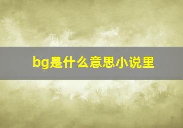 bg是什么意思小说里