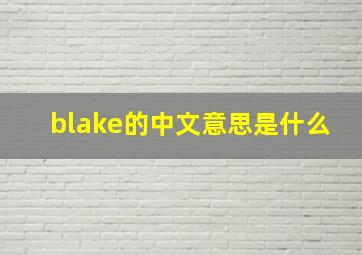 blake的中文意思是什么