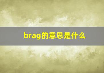 brag的意思是什么