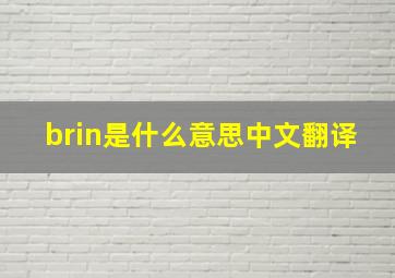 brin是什么意思中文翻译