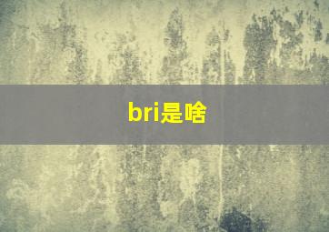 bri是啥