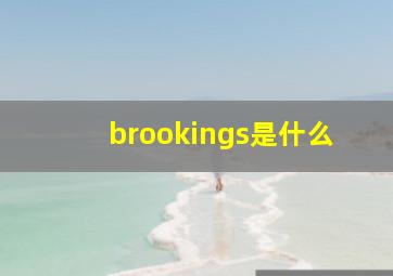 brookings是什么