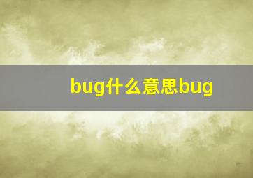 bug什么意思bug