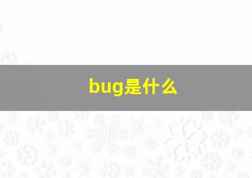 bug是什么