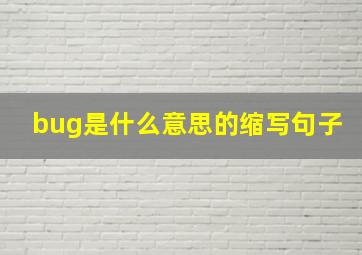 bug是什么意思的缩写句子