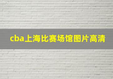 cba上海比赛场馆图片高清