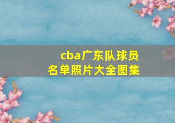 cba广东队球员名单照片大全图集