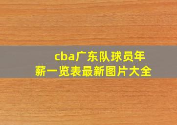 cba广东队球员年薪一览表最新图片大全