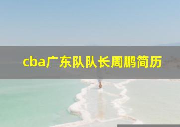 cba广东队队长周鹏简历