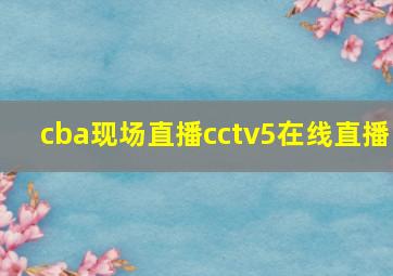 cba现场直播cctv5在线直播