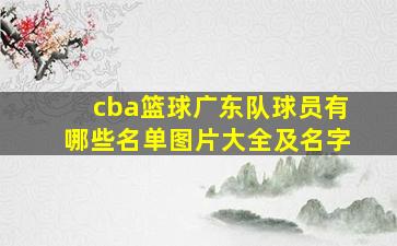 cba篮球广东队球员有哪些名单图片大全及名字