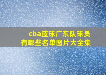 cba篮球广东队球员有哪些名单图片大全集