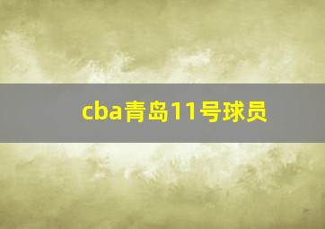 cba青岛11号球员