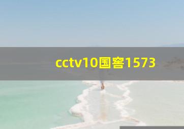 cctv10国窖1573