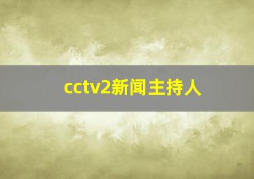 cctv2新闻主持人