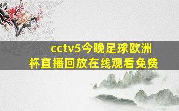 cctv5今晚足球欧洲杯直播回放在线观看免费