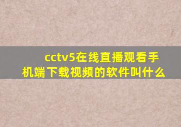 cctv5在线直播观看手机端下载视频的软件叫什么