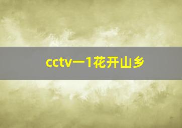 cctv一1花开山乡