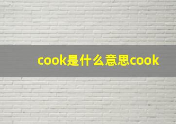 cook是什么意思cook