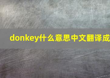 donkey什么意思中文翻译成