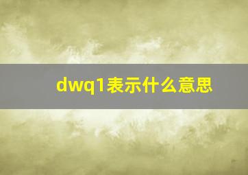 dwq1表示什么意思