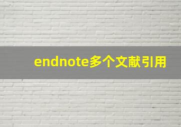 endnote多个文献引用