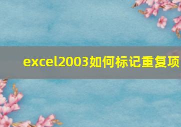 excel2003如何标记重复项