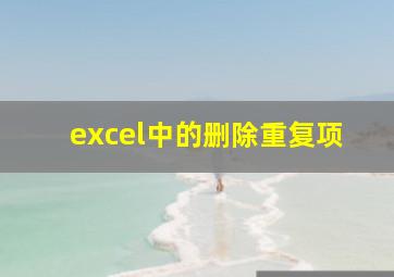 excel中的删除重复项