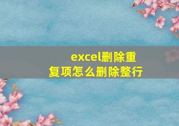 excel删除重复项怎么删除整行