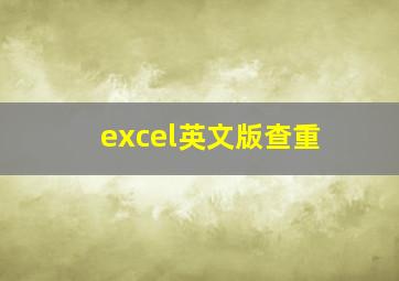 excel英文版查重