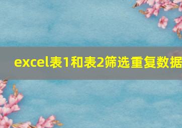 excel表1和表2筛选重复数据