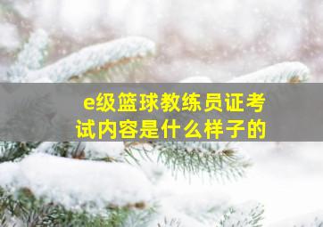 e级篮球教练员证考试内容是什么样子的