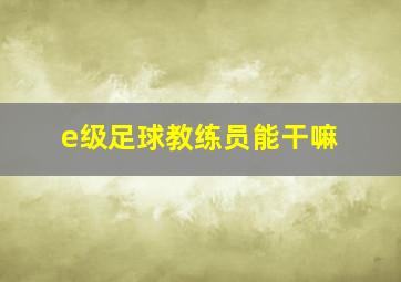 e级足球教练员能干嘛