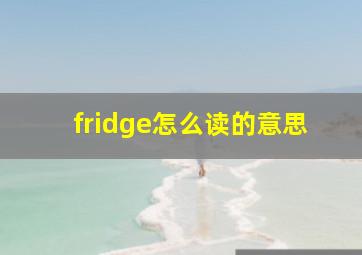 fridge怎么读的意思