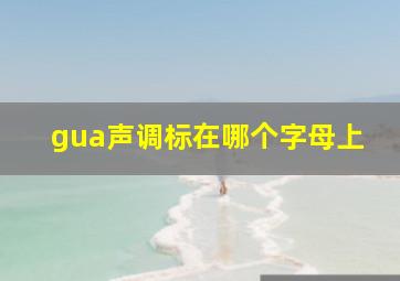 gua声调标在哪个字母上