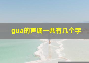 gua的声调一共有几个字