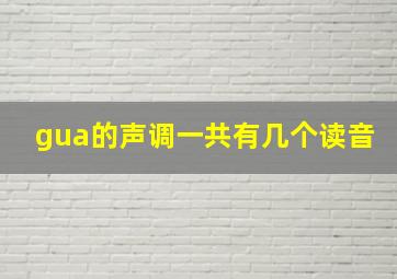 gua的声调一共有几个读音