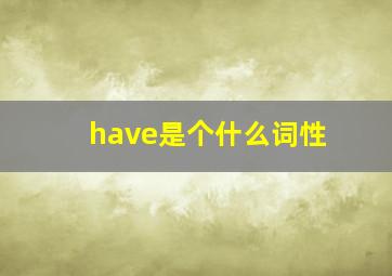 have是个什么词性