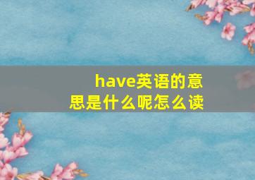 have英语的意思是什么呢怎么读