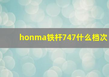 honma铁杆747什么档次