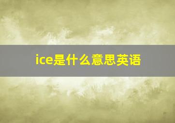 ice是什么意思英语