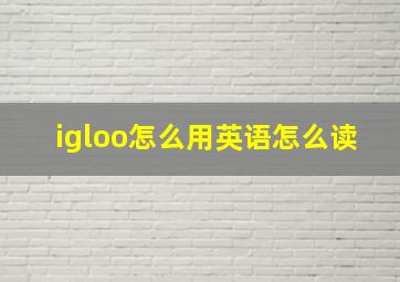 igloo怎么用英语怎么读